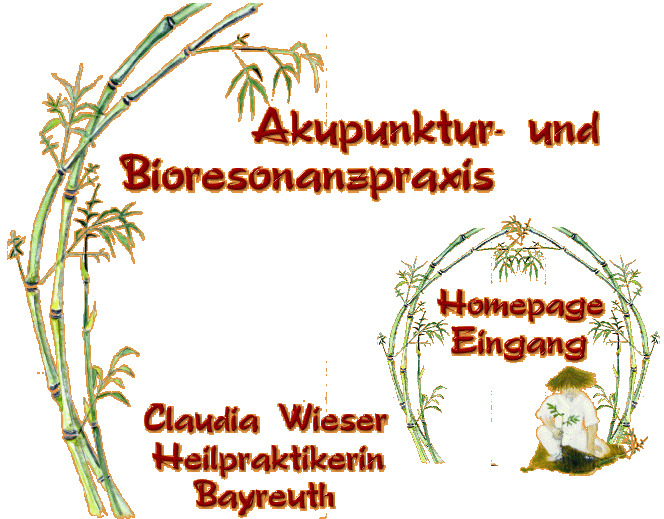Akupunktur und Bioresonanzpraxis Claudia Wieser Bayreuth